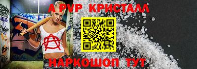 амф Кингисепп