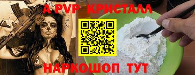 амф Кингисепп