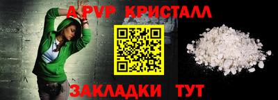 амф Кингисепп