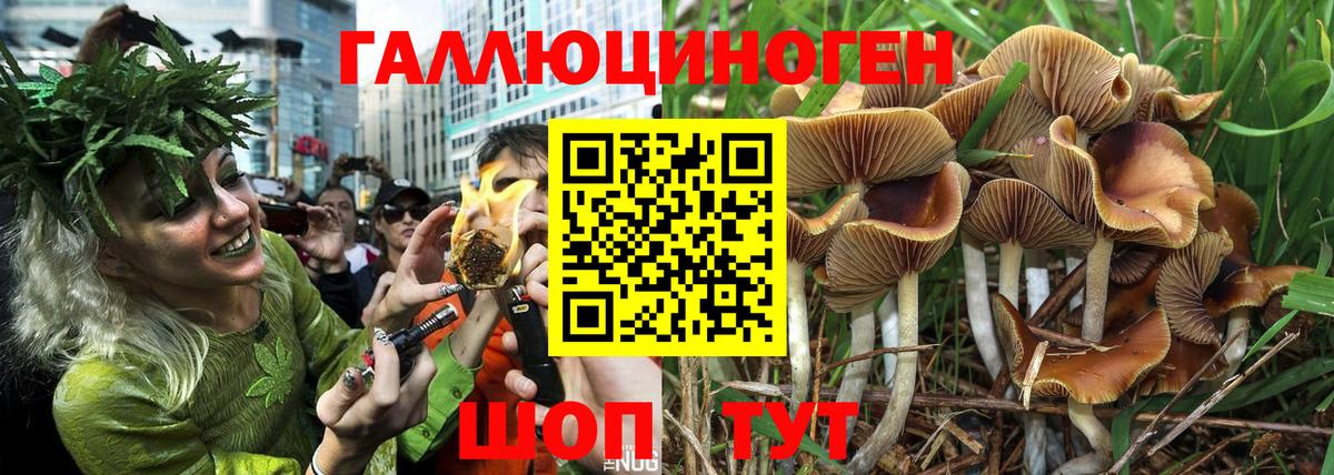 Псилоцибиновые грибы прущие грибы Красноармейск