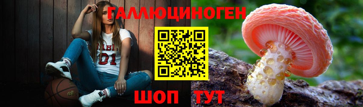 Галлюциногенные грибы Psilocybe  купить наркотик  Красноармейск  Вход с VPN 